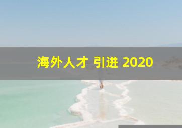 海外人才 引进 2020